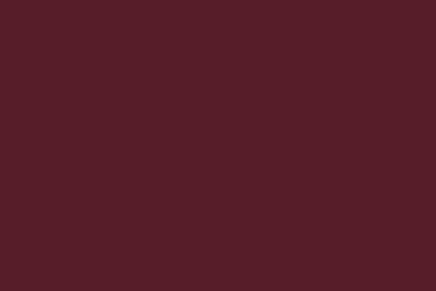 Fronton Tip 1 (250 x 2000 mm)